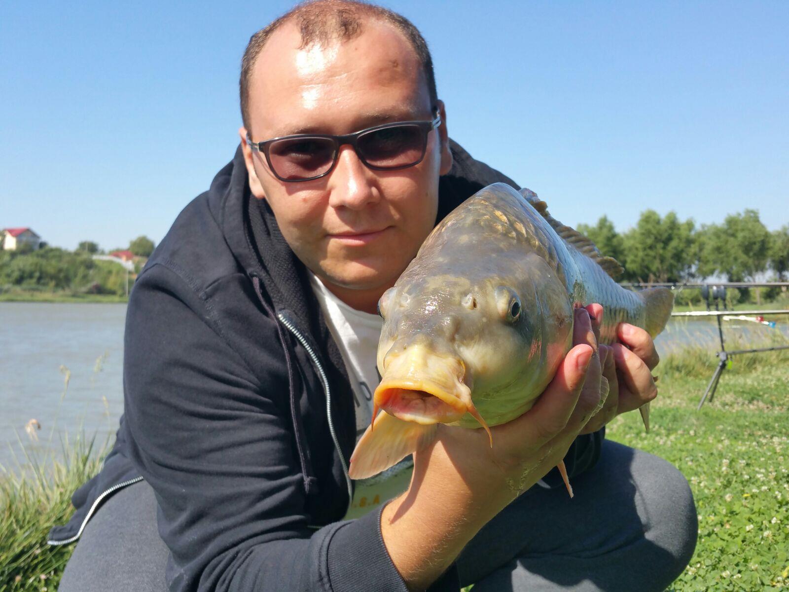 1 - captura Floarea popestiului 5kg